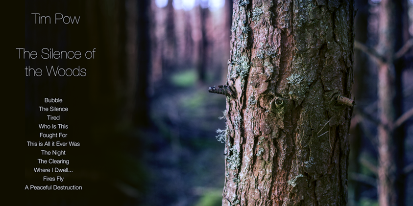 Silence Woods 1