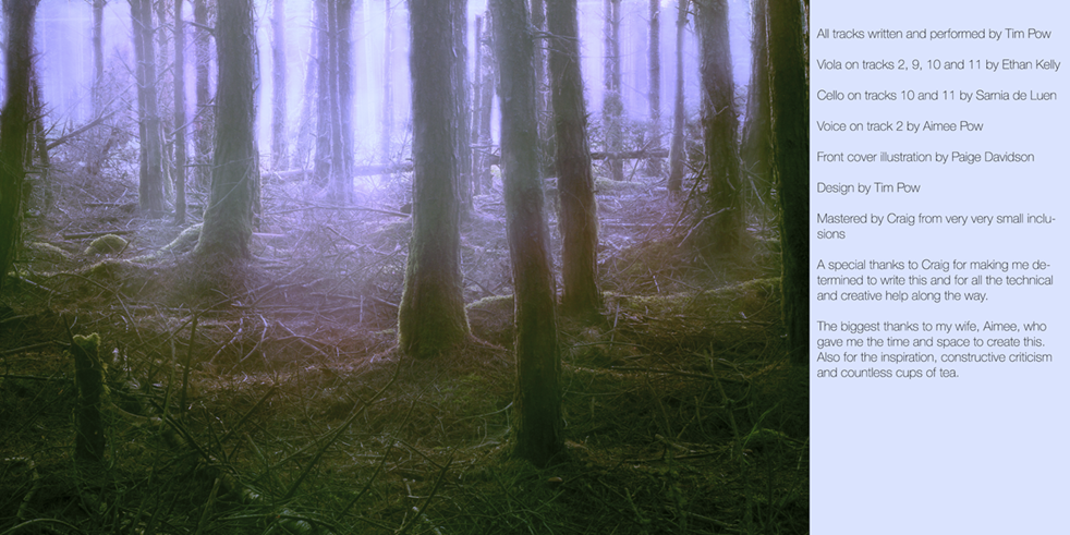 Silence Woods 2